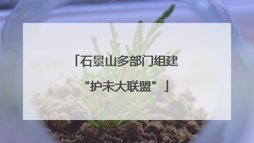 石景山多部门组建“护未大联盟”